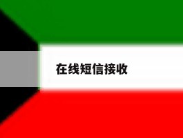 在线短信接收