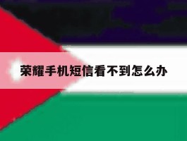 荣耀手机短信看不到怎么办