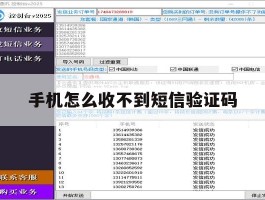 手机怎么收不到短信验证码