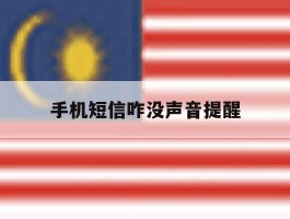 手机短信咋没声音提醒