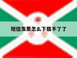 短信发票怎么下载不了了