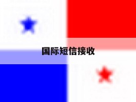 国际短信接收