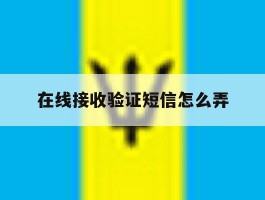 在线接收验证短信怎么弄