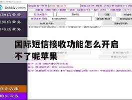国际短信接收功能怎么开启不了呢苹果