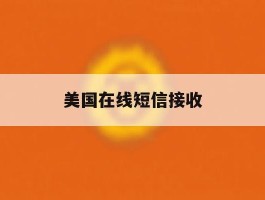 美国在线短信接收