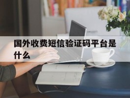 国外收费短信验证码平台是什么