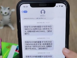 在国外往国内发短信收费