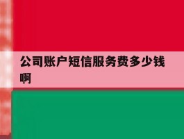 公司账户短信服务费多少钱啊