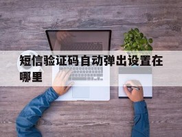 短信验证码自动弹出设置在哪里