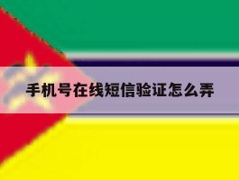 手机号在线短信验证怎么弄