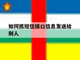 如何抓短信接口信息发送给别人