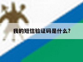 我的短信验证码是什么?