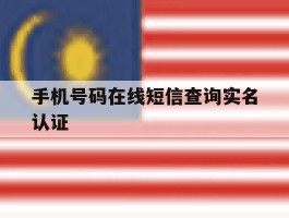 手机号码在线短信查询实名认证