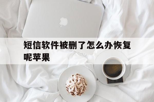 短信软件被删了怎么办恢复呢苹果 短信软件被删了怎么办恢复呢苹果
