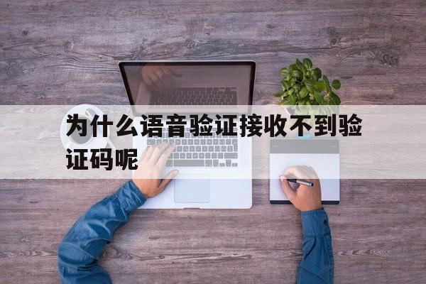 为什么语音验证接收不到验证码呢 为什么语音验证接收不到验证码呢