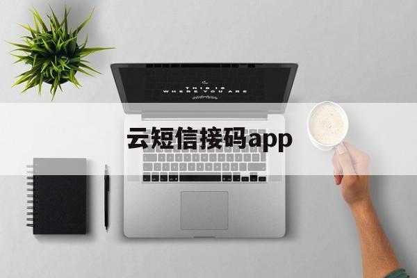 云短信接码app 云短信接码app