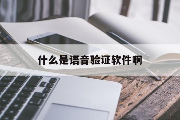 什么是语音验证软件啊 什么是语音验证软件啊