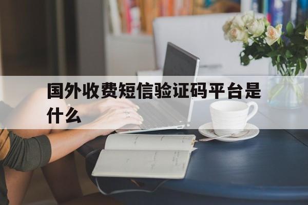 国外收费短信验证码平台是什么 国外收费短信验证码平台是什么