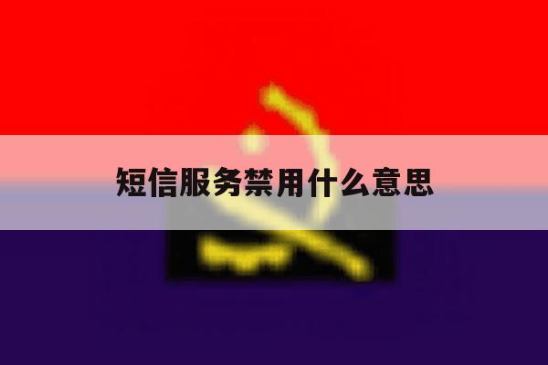 短信服务禁用什么意思 短信服务禁用什么意思