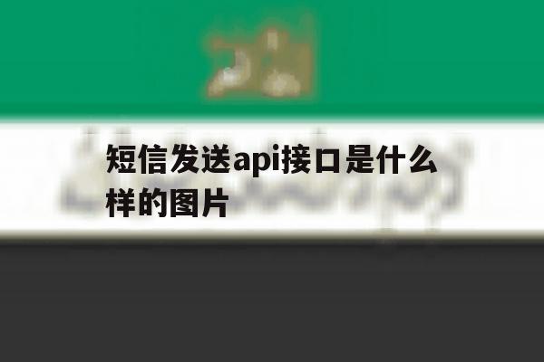 短信发送api接口是什么样的图片 短信发送api接口是什么样的图片