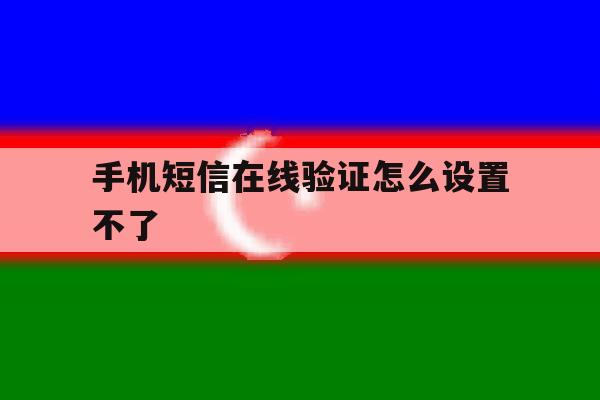手机短信在线验证怎么设置不了 手机短信在线验证怎么设置不了