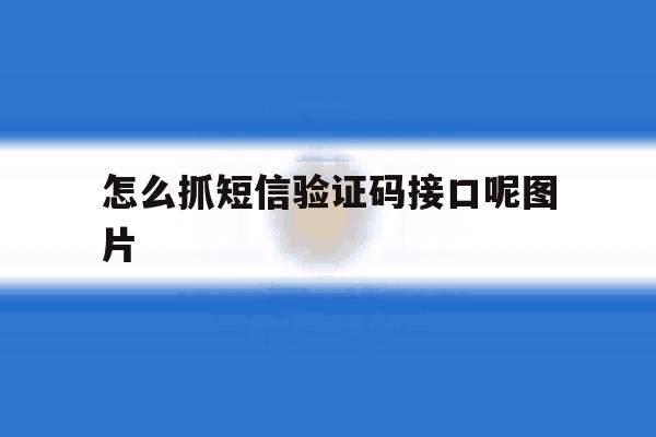 怎么抓短信验证码接口呢图片 怎么抓短信验证码接口呢图片