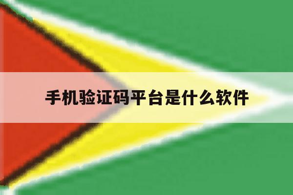 手机验证码平台是什么软件 手机验证码平台是什么软件