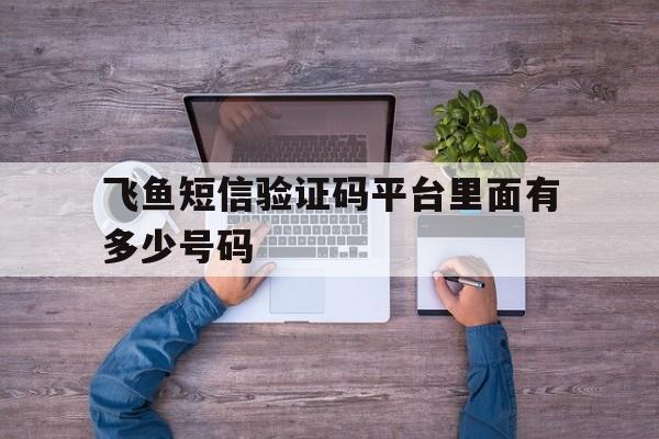 关于飞鱼短信验证码平台里面有多少号码的信息 关于飞鱼短信验证码平台里面有多少号码的信息