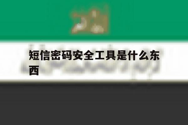 短信密码安全工具是什么东西 短信密码安全工具是什么东西