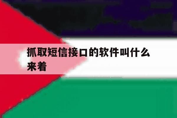 抓取短信接口的软件叫什么来着 抓取短信接口的软件叫什么来着