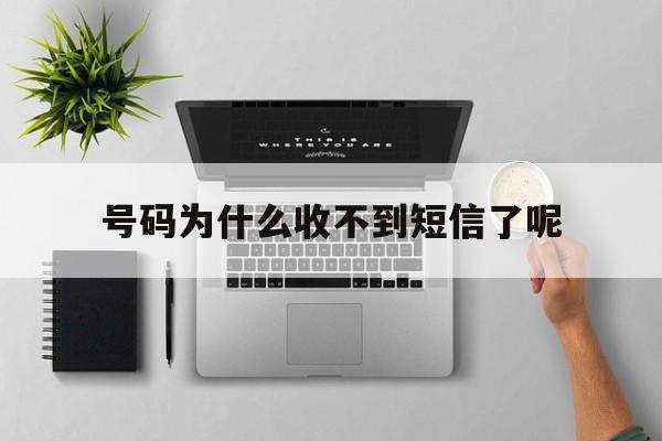 号码为什么收不到短信了呢 号码为什么收不到短信了呢