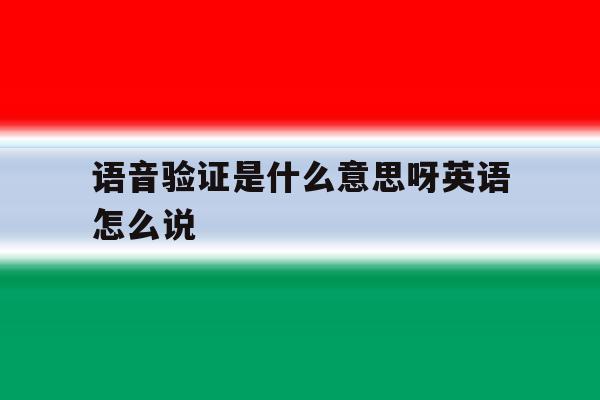 语音验证是什么意思呀英语怎么说 语音验证是什么意思呀英语怎么说