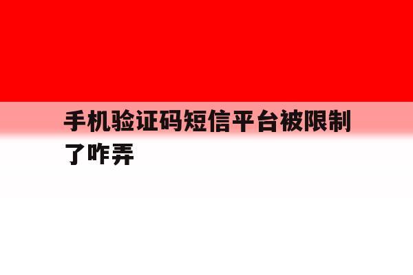 手机验证码短信平台被限制了咋弄 手机验证码短信平台被限制了咋弄