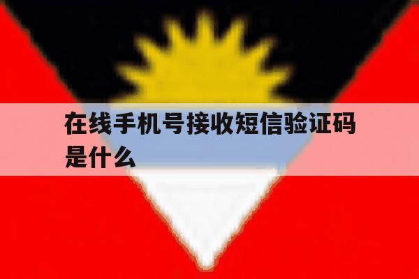 在线手机号接收短信验证码是什么 在线手机号接收短信验证码是什么