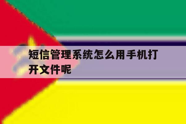 短信管理系统怎么用手机打开文件呢 短信管理系统怎么用手机打开文件呢